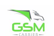 GSM CARRIER LLC