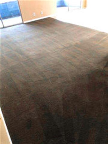 Micke's Carpet Cleaning image 5