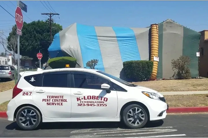 FUMIGACIONES SANTA ANA 24/7.- image 5