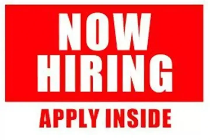 SE SOLICITA TÉCNICO/ MECÁNICO image 2