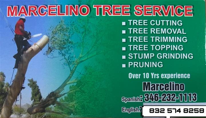 Marcelino Tree Services image 1