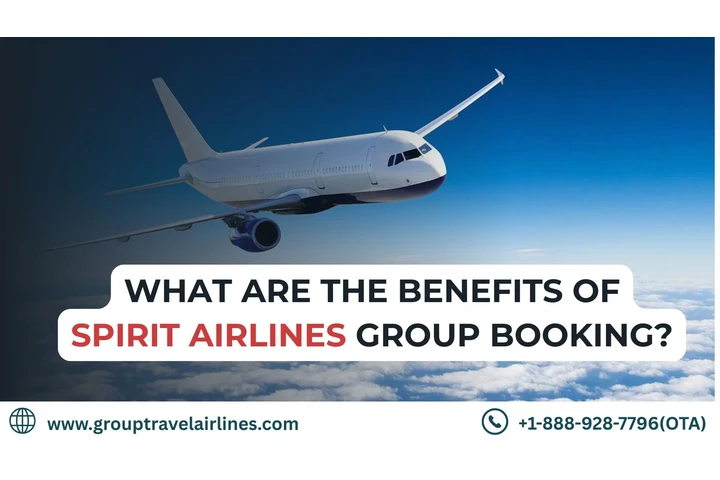 Spirit Airlines Group Booking image 1