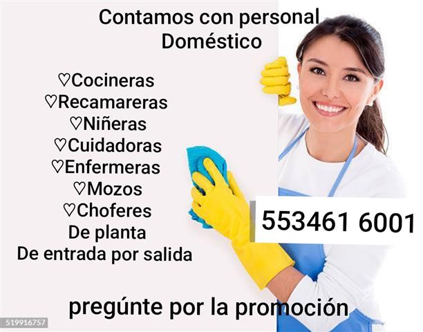 Servicios domésticos naucalpan image 2