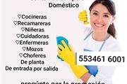 Servicios domésticos naucalpan thumbnail