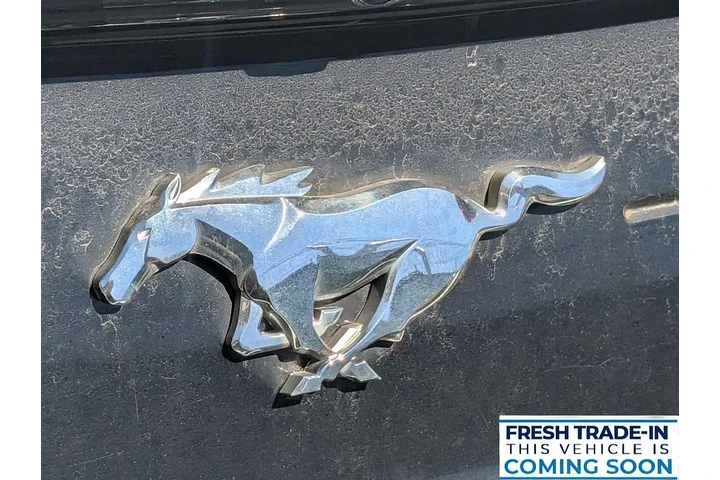 $26284 : Ford Mustang 2023 EcoBoost P image 2