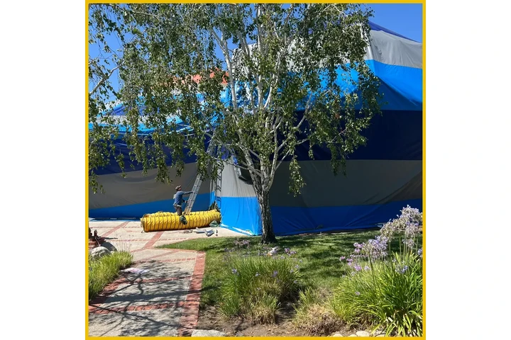 Expertos en control de plagas image 1