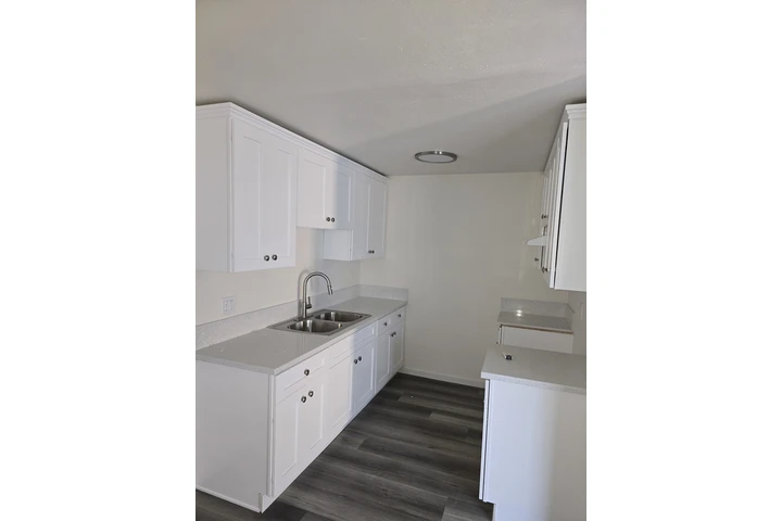 House painting image 1
