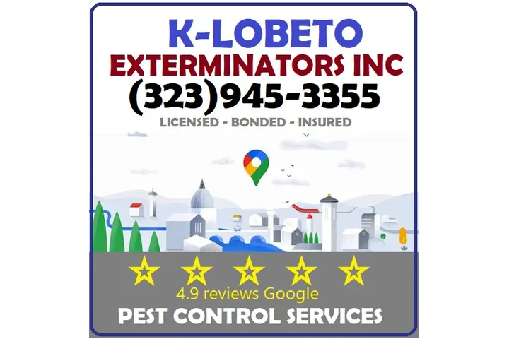 FUMIGACIONES TERMITAS 24/7.- image 9