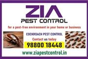 Bengaluru Pest control | Cockr en Los Angeles