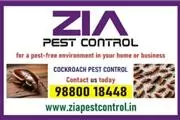 Bengaluru Pest control | Cockr en Los Angeles