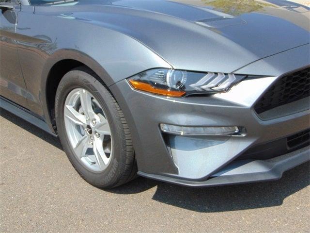 $28794 : 2023 Mustang EcoBoost image 2