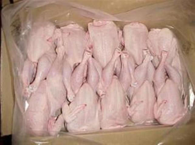 wholesale fresh frozen chicken image 2