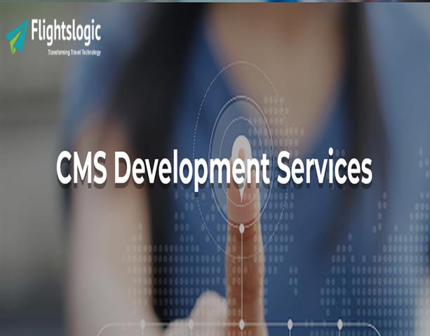 CMS Development Services image 1