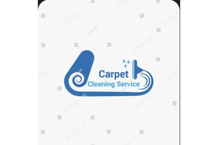 Carpet cleaner image 1