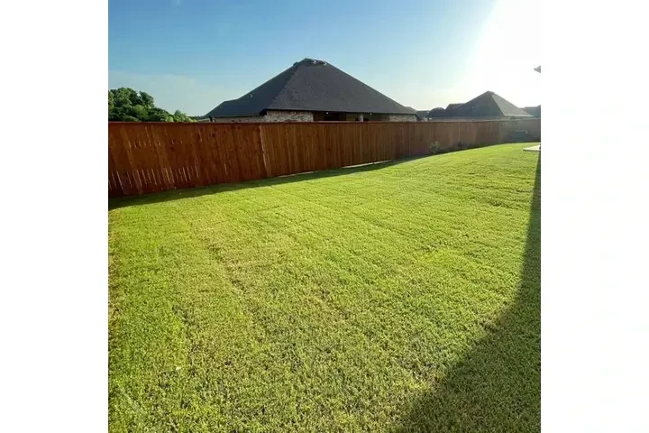 Landscaping Profesional image 3