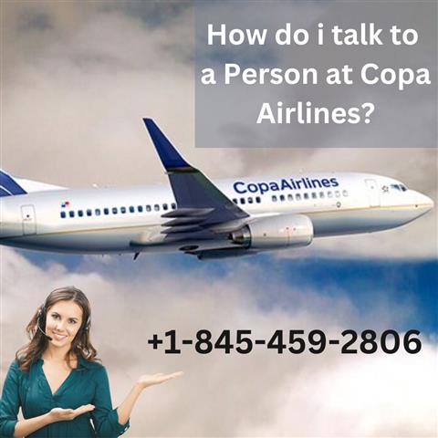Copa Airlines Manage Booking image 1