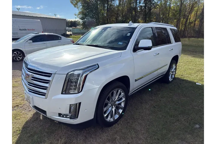 $33980 : Cadillac Escalade 2018 4x4 P image 1
