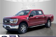 Pre-Owned 2021 F-150 XLT