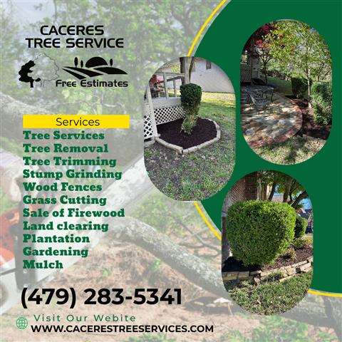 Caceres Tree Service image 1