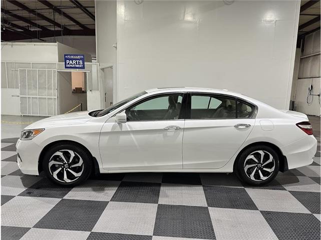 $22101 : 2019 ACURA TLX image 7