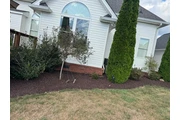 Diaz Lawn Care And Landscaping thumbnail