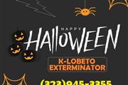 FUMIGACIONES 🦇 HALLOWEEN 24/7 en Los Angeles