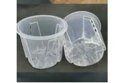 Clear Orchid Pots en Miami