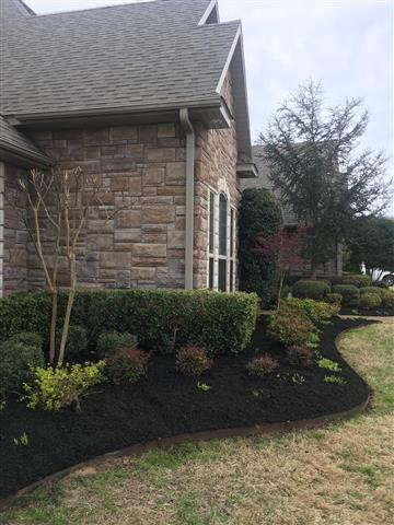 Vargas landscaping image 4