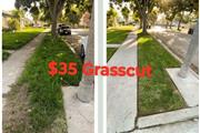LONG GREEN GRASS CUT $35 en Los Angeles
