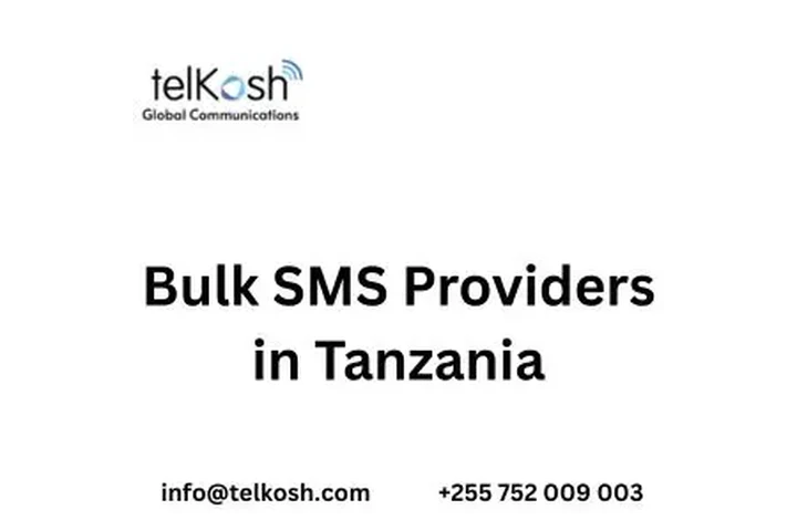 Bulk SMS Providers in Tanzania image 1