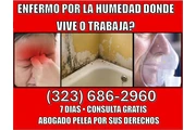 7 DIAS• ¿PROBLEMAS DE HUMEDAD? en Los Angeles