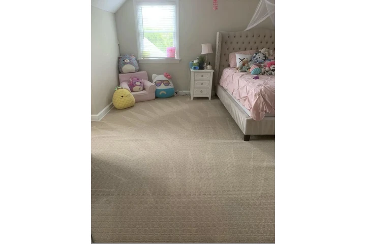 cleaning image 4