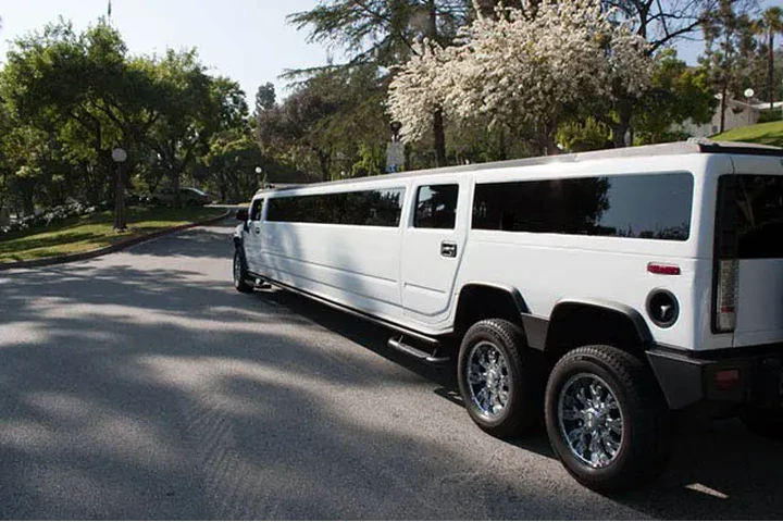 Los Precios MAs bajos la limo image 9