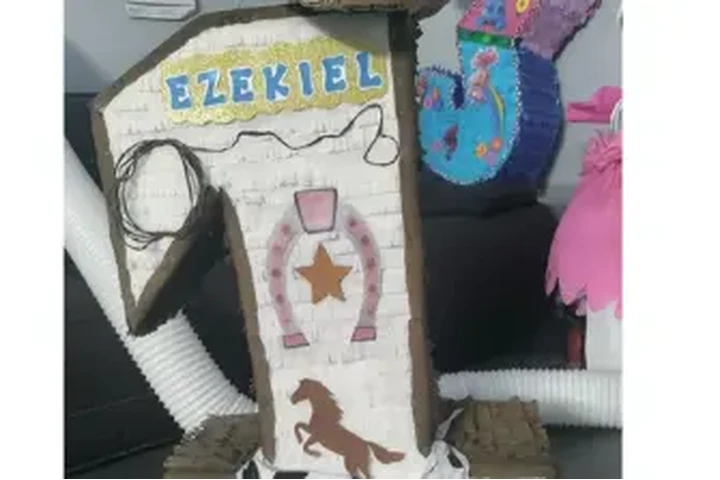 PiñataS image 2