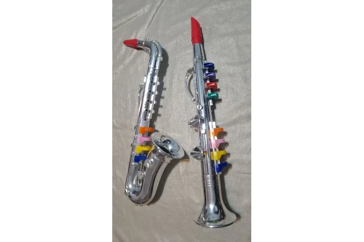 $500 : CLARINETE Y SAXOFON PARA NINOS image 1