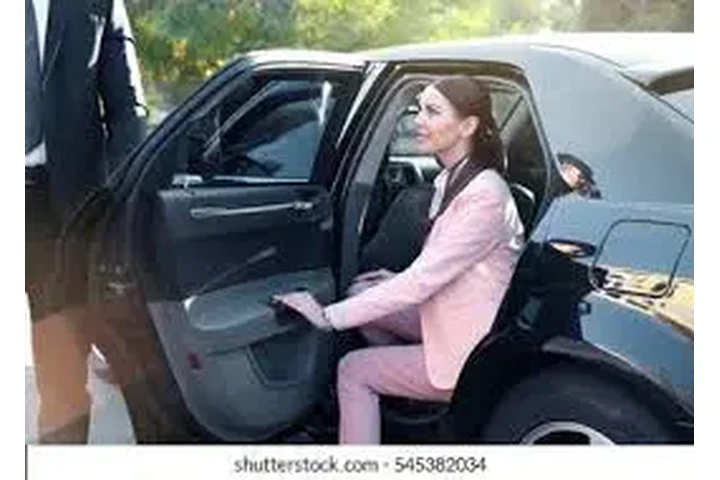 Private Car and Driver Delhi image 1