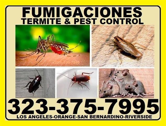 FUMIGACIONES 24/7 EAST L.A. image 2