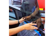 Silver Star Collision Center thumbnail 4