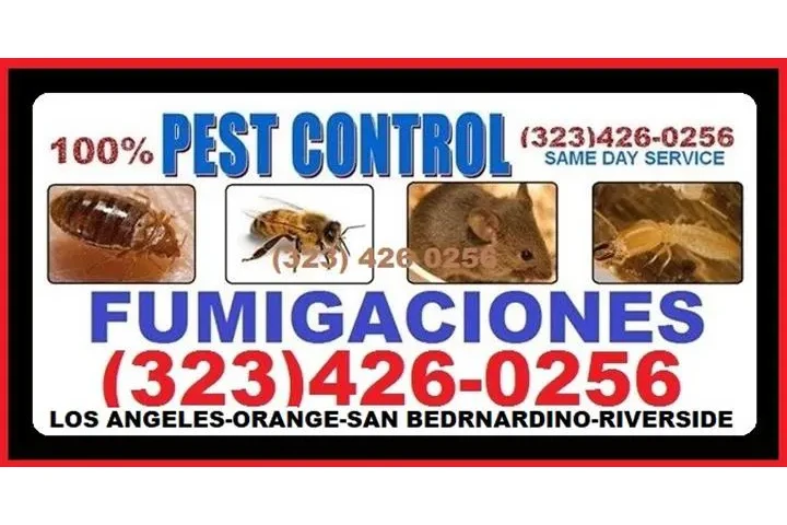 PROTEGE TU HOGAR DE LAS PLAGAS image 2