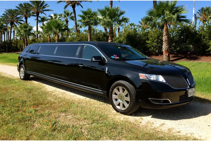 Hamptons Leisure Limo image 4
