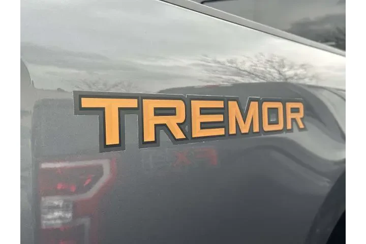 Ford F-250 Super Duty 2023 4 image 8