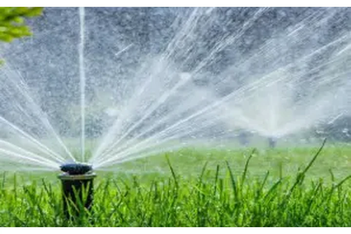 SERVICIOS DE JARDINERÍA image 3