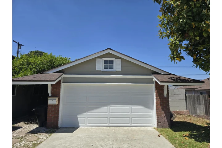 Garage door / Puerta garaje image 3
