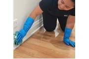 Proyectos de limpieza en Chicago