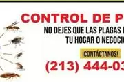 PEST SERVICE NEAR YOU 24-7 L.A en Los Angeles