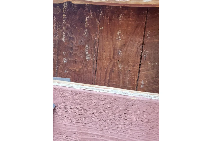 Henry’s Bees Removal Service image 7