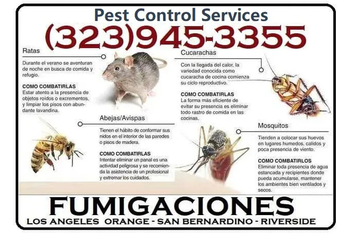 PEST CONTROL-CLASIFICADOS #1. image 6