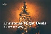 Holiday Flight Deal and Offers thumbnail