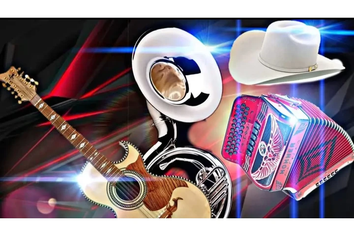 Grupo de música norteña 🪗 image 1