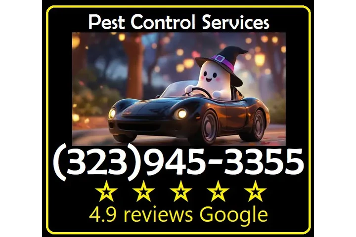 "Fumigaciones Accion Gracias" image 10